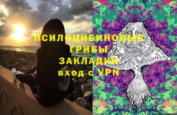 молекула духа Лабытнанги