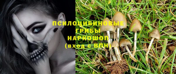 прущая мука Ладушкин