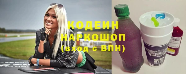 молекула духа Лабытнанги