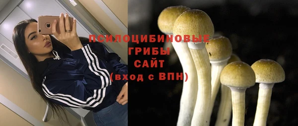 молекула духа Лабытнанги