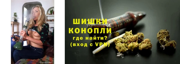 молекула духа Лабытнанги