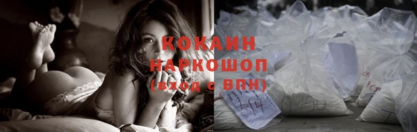 молекула духа Лабытнанги