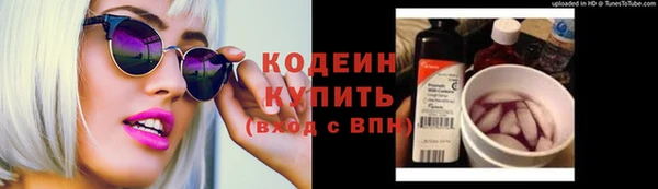 молекула духа Лабытнанги
