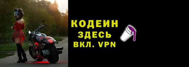 молекула духа Лабытнанги
