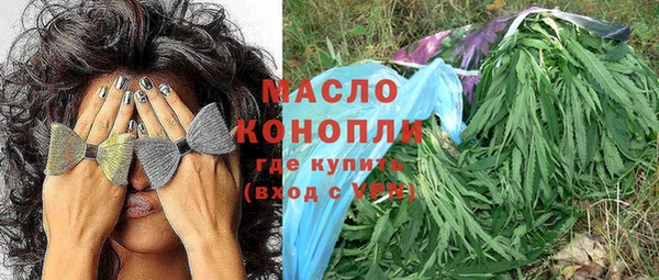 молекула духа Лабытнанги
